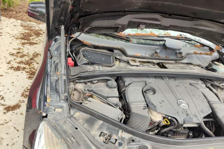 Used Mercedes-Benz R-Class 2014 R 320 4MATIC Luxury Model Engine Bay Right