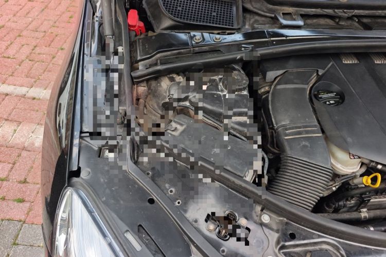 Used Mercedes-Benz R-Class 2014 R 320 4MATIC Business Model Engine Bay Right