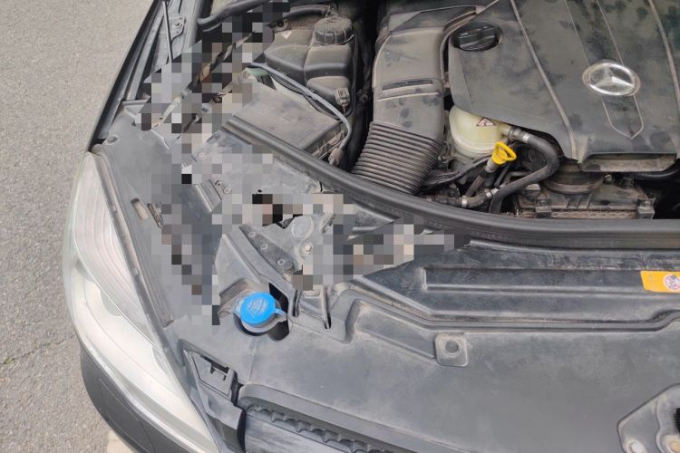 Used Mercedes-Benz R-Class 2014 R 320 4MATIC Business Model Engine Bay Right