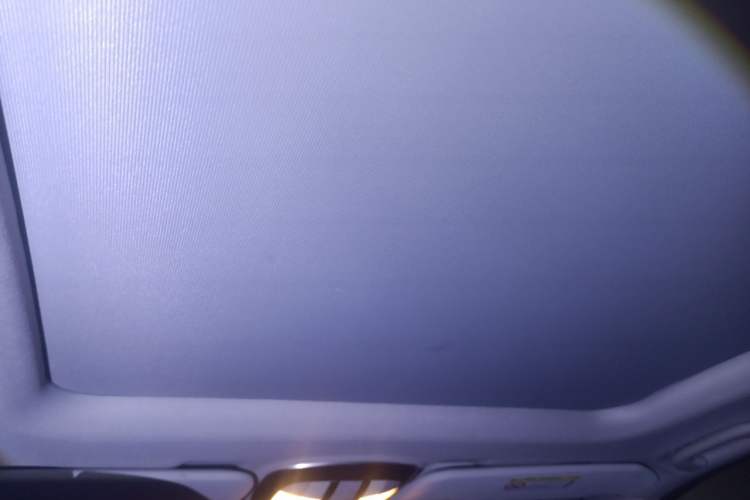 Used Mercedes-Benz R-Class 2017 R 320 4MATIC Luxury Collection Edition Headliner