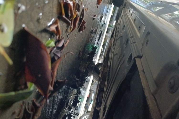 Used Mercedes-Benz S-Class 2004 S 350 Chassis Rear Left
