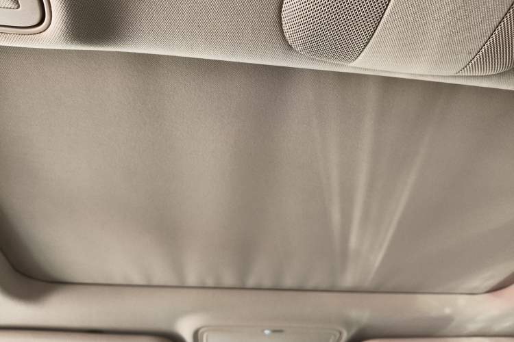 Used Mercedes-Benz S-Class 2008 S 350 L Luxury Model Headliner