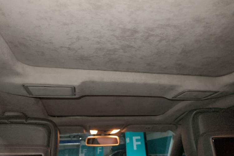 Used Mercedes-Benz S-Class 2008 S 600 L Headliner