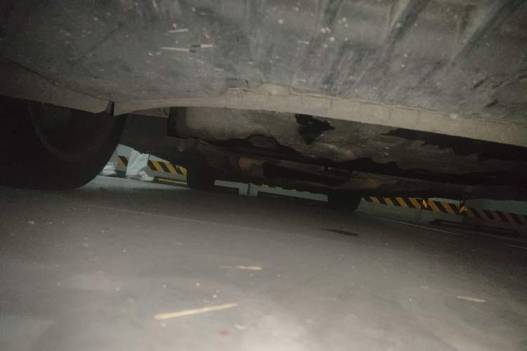 Used Mercedes-Benz S-Class 2010 S 300 L Prestige Edition Chassis Front