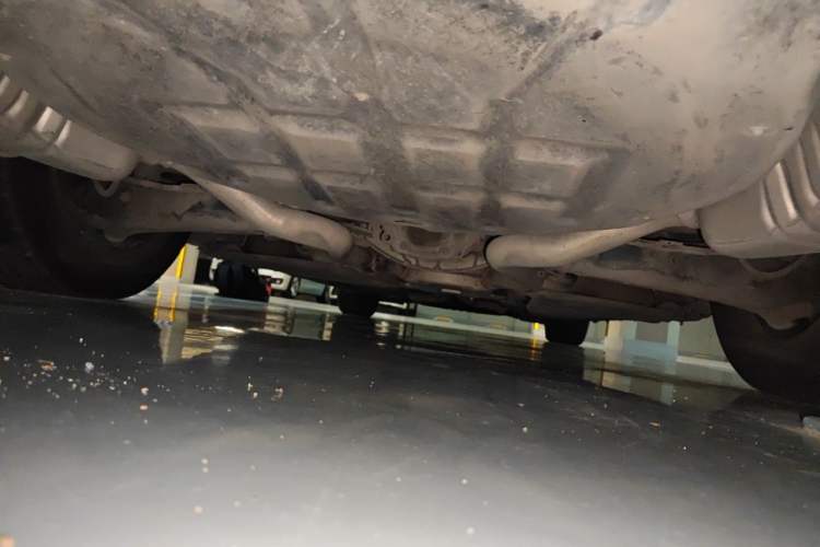 Used Mercedes-Benz S-Class 2010 S 300 L Business Model Chassis Rear