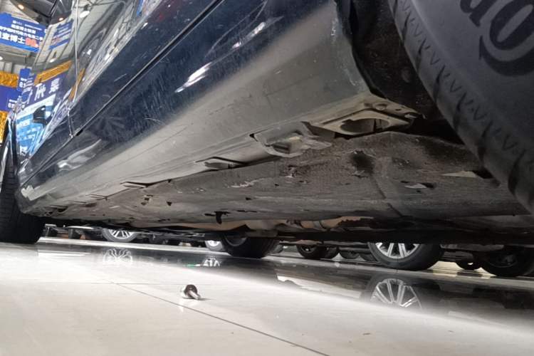 Used Mercedes-Benz S-Class 2010 S 300 L Business Model Chassis Rear Left