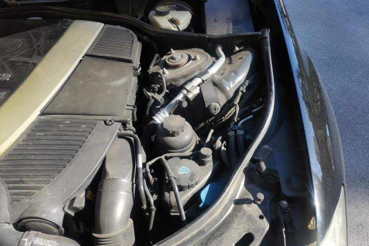 Used Mercedes-Benz S-Class 2010 S 600 L Engine Bay Left