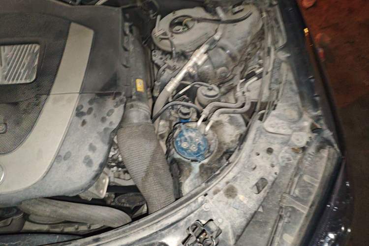 Used Mercedes-Benz S-Class 2010 S 300 L Business Model Engine Bay Left