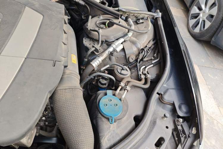 Used Mercedes-Benz S-Class 2010 S 300 L Luxury Model Engine Bay Left