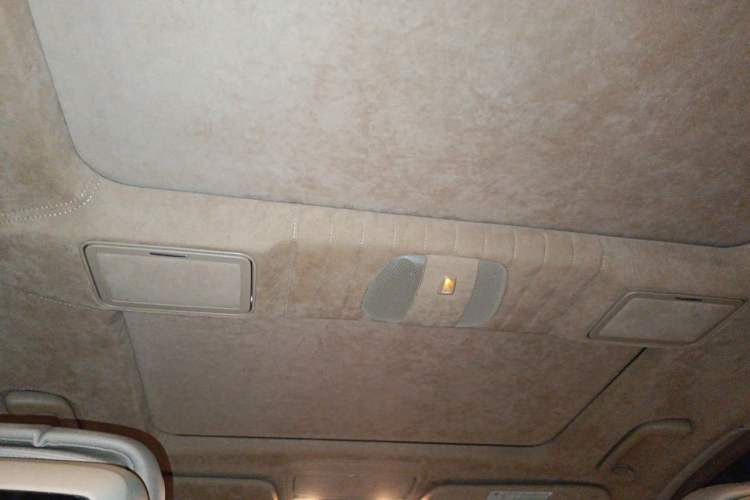 Used Mercedes-Benz S-Class 2010 S 600 L Headliner