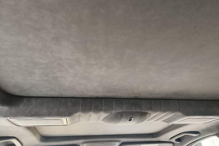 Used Mercedes-Benz S-Class 2010 S 600 L Headliner