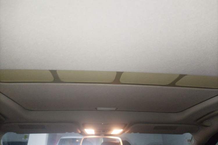 Used Mercedes-Benz S-Class  Headliner