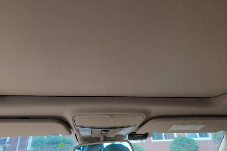 Used Mercedes-Benz S-Class 2010 S 300 L Luxury Model Headliner