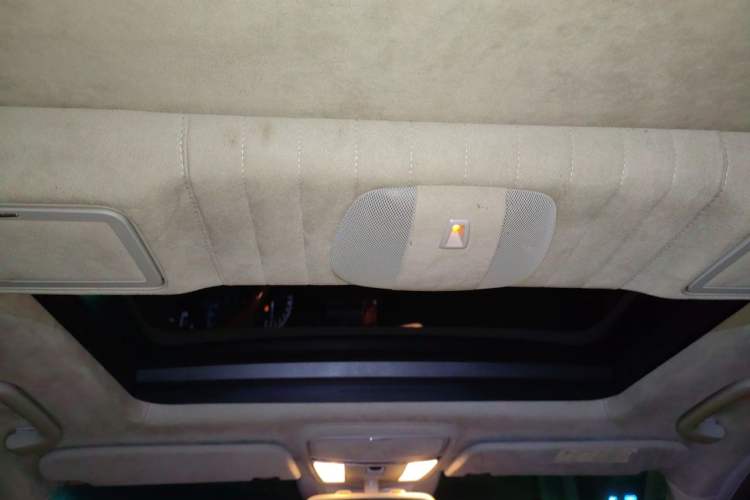 Used Mercedes-Benz S-Class 2010 S 600 L Headliner