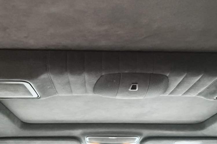 Used Mercedes-Benz S-Class 2010 S 600 L Headliner