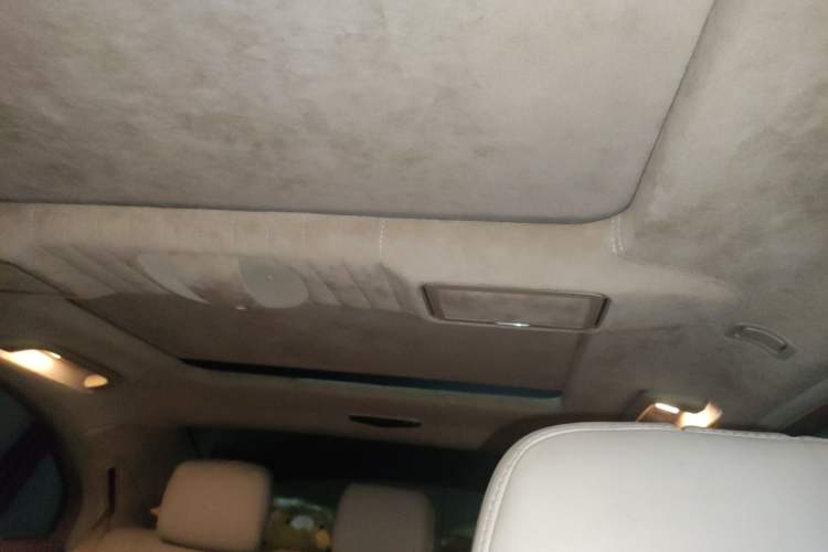 Used Mercedes-Benz S-Class 2010 S 600 L Headliner