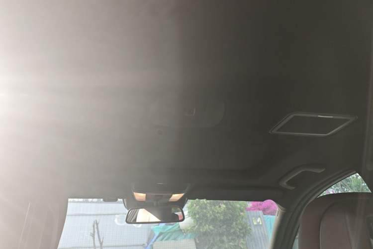 Used Mercedes-Benz S-Class 2010 S 400 L HYBRID Headliner