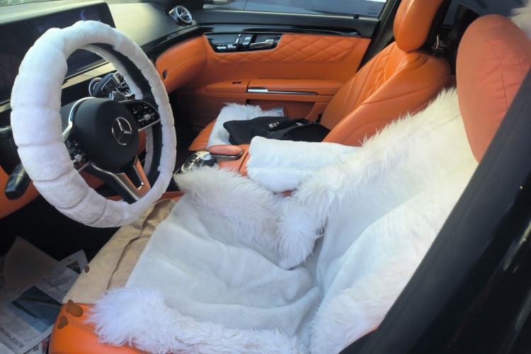 Used Mercedes-Benz S-Class 2010 S 350 L Luxury Model Left Front Seat