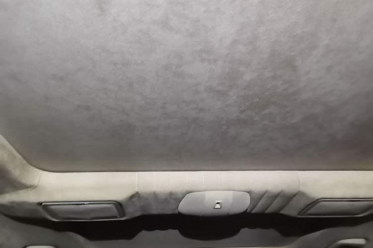 Used Mercedes-Benz S-Class 2010 S 600 L Headliner