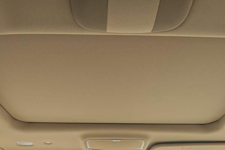 Used Mercedes-Benz S-Class 2010 S 400 L HYBRID Headliner
