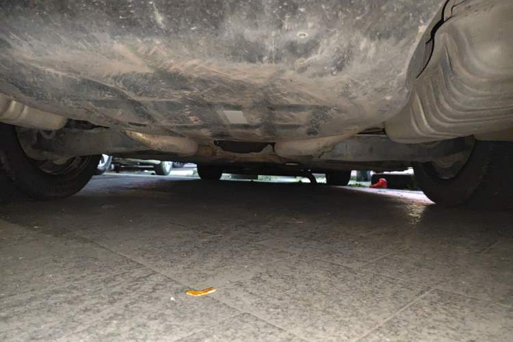 Used Mercedes-Benz S-Class 2012 S 300 L Business Standard Model Chassis Rear