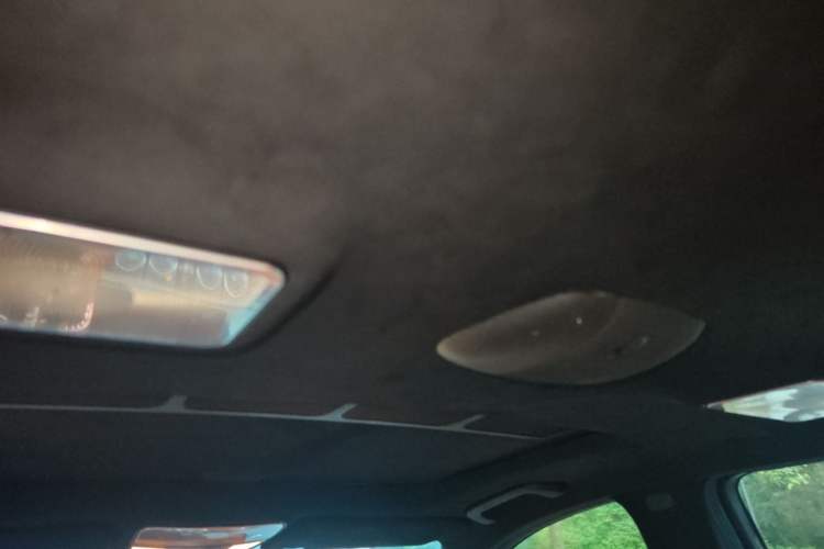 Used Mercedes-Benz S-Class  Headliner