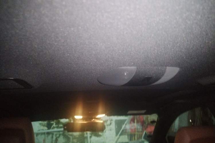 Used Mercedes-Benz S-Class 2012 S 300 L Business Standard Model Headliner