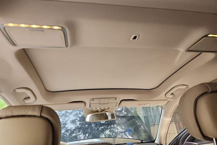 Used Mercedes-Benz S-Class  Headliner
