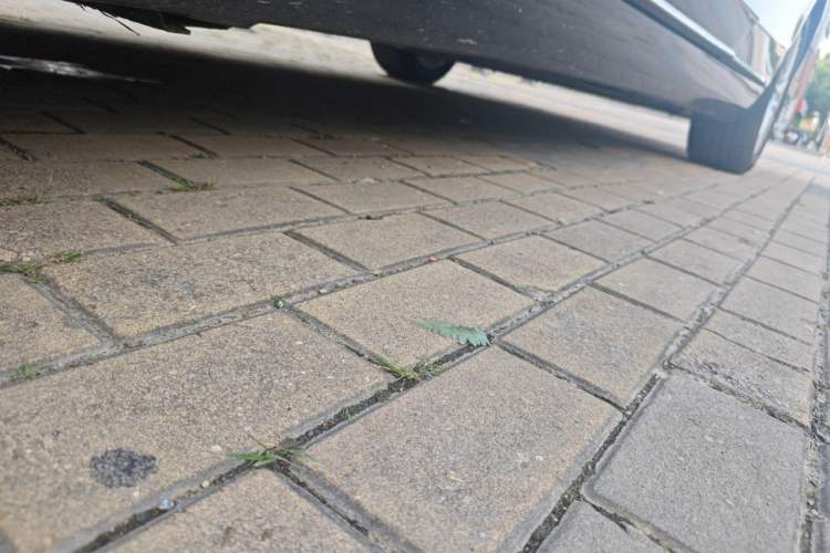Used Mercedes-Benz S-Class 2014 S 320 L Business Model Chassis Front Left