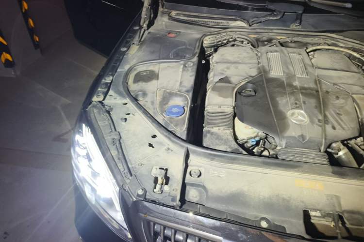 Used Mercedes-Benz S-Class 2014 S 320 L Business Model Engine Bay Right