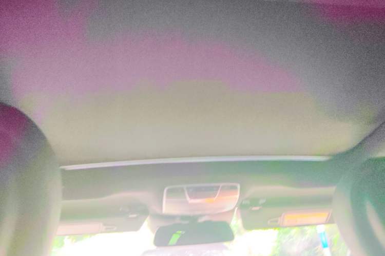 Used Mercedes-Benz S-Class 2014 S 400 L HYBRID Headliner