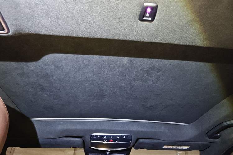 Used Mercedes-Benz S-Class 2014 S 600 L Headliner