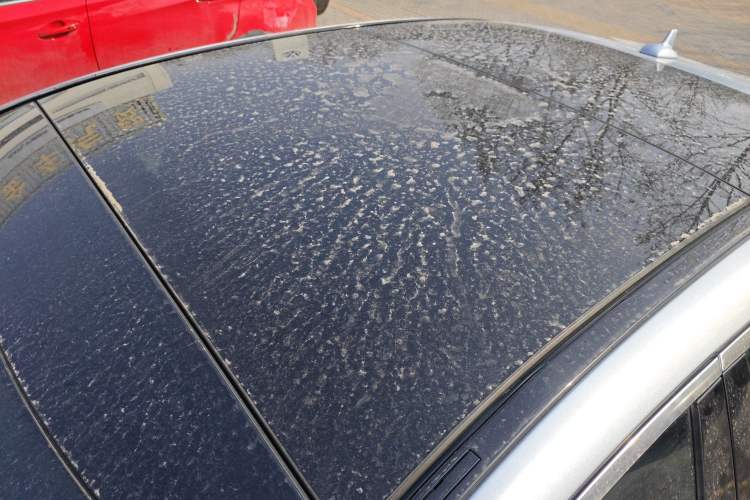 Used Mercedes-Benz S-Class 2014 S 400 L Prestige Edition Roof