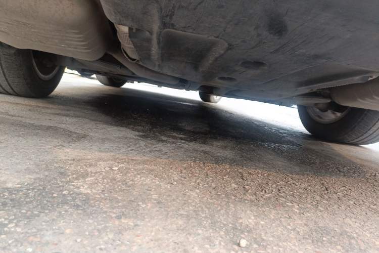 Used Mercedes-Benz S-Class 2016 S 320 L Business Model Chassis Rear