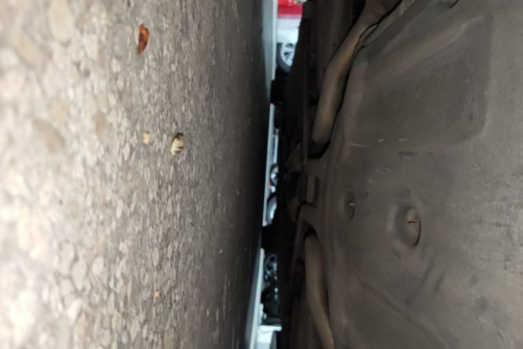 Used Mercedes-Benz S-Class 2018 S 320 L Chassis Rear