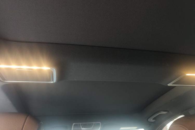 Used Mercedes-Benz S-Class 2018 S 320 L Headliner
