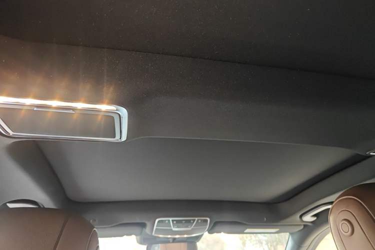 Used Mercedes-Benz S-Class 2018 S 320 L Headliner
