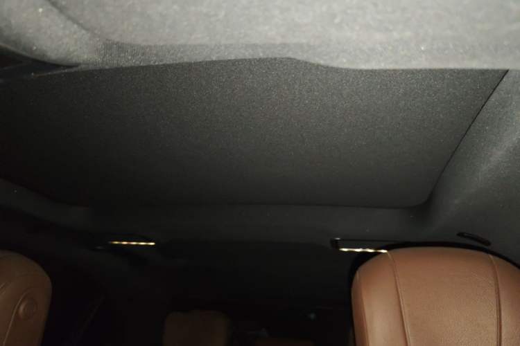 Used Mercedes-Benz S-Class 2018 S 320 L Headliner