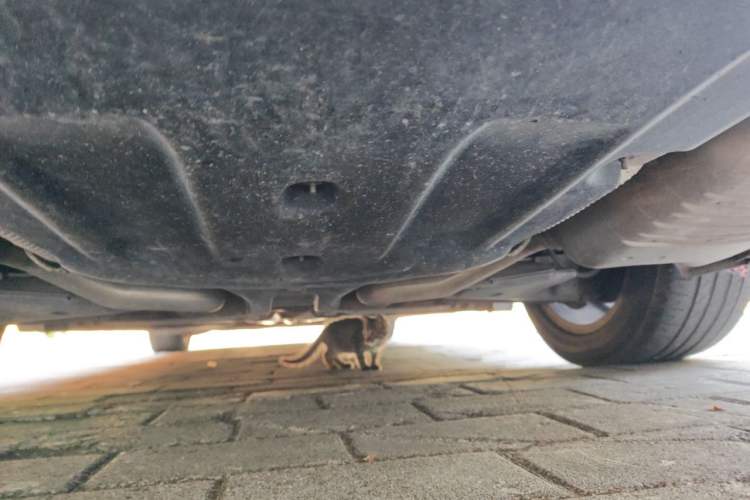 Used Mercedes-Benz S-Class 2018 S 320 L Chassis Rear