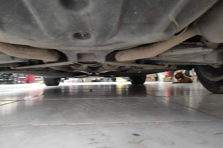 Used Mercedes-Benz S-Class 2019 S 320 L Chassis Rear