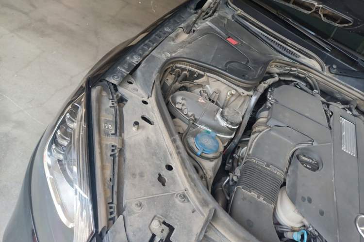 Used Mercedes-Benz S-Class 2019 S 350 L Prestige Model Ultimate Collection Engine Bay Right