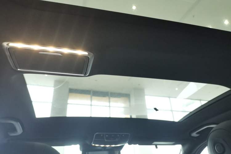 Used Mercedes-Benz S-Class 2019 S 320 L Headliner