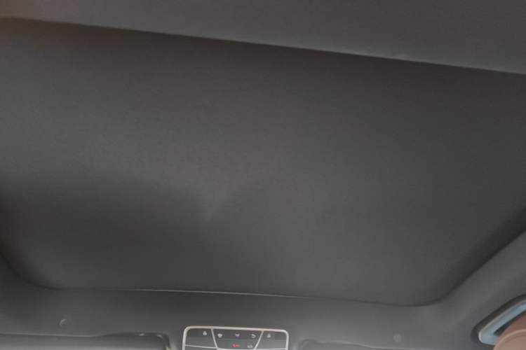 Used Mercedes-Benz S-Class 2019 S 350 L Executive Edition Headliner