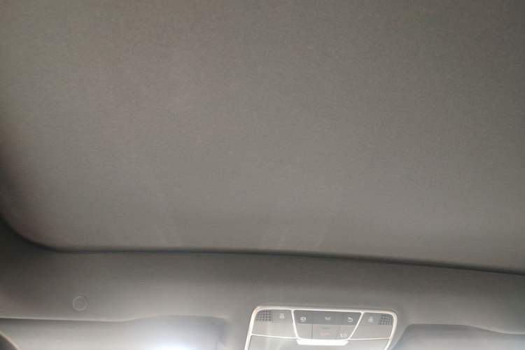 Used Mercedes-Benz S-Class 2019 S 320 L Headliner