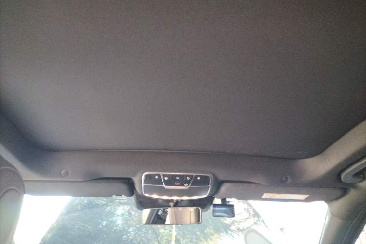 Used Mercedes-Benz S-Class 2019 S 320 L Headliner