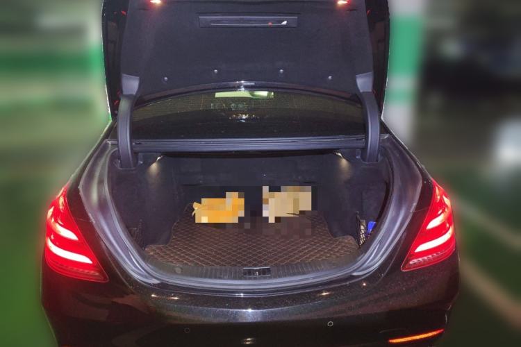 Used Mercedes-Benz S-Class 2019 S 350 L Prestige Model Ultimate Collection Trunk