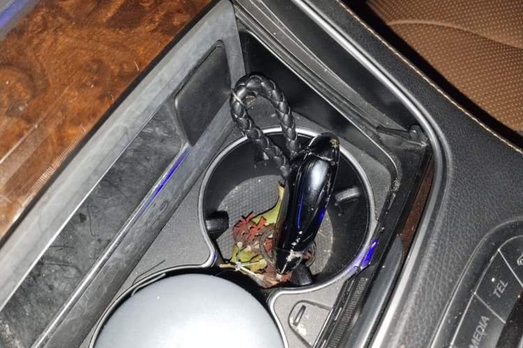Used Mercedes-Benz S-Class 2019 S 350 L Executive Edition Vehicle Key