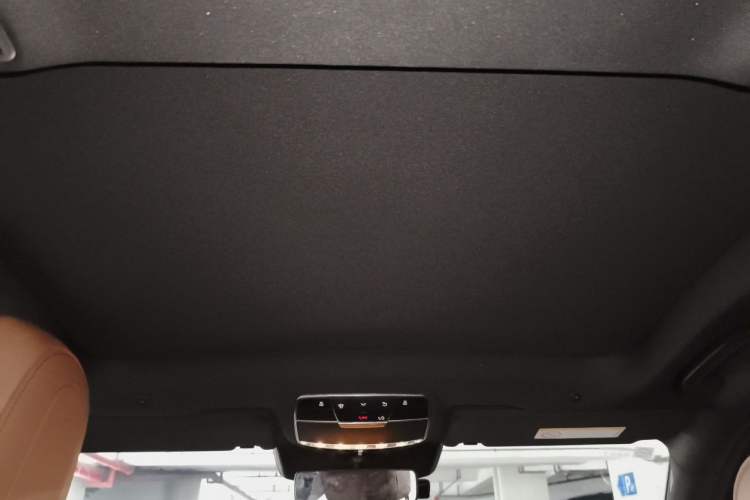 Used Mercedes-Benz S-Class 2019 S 320 L Headliner
