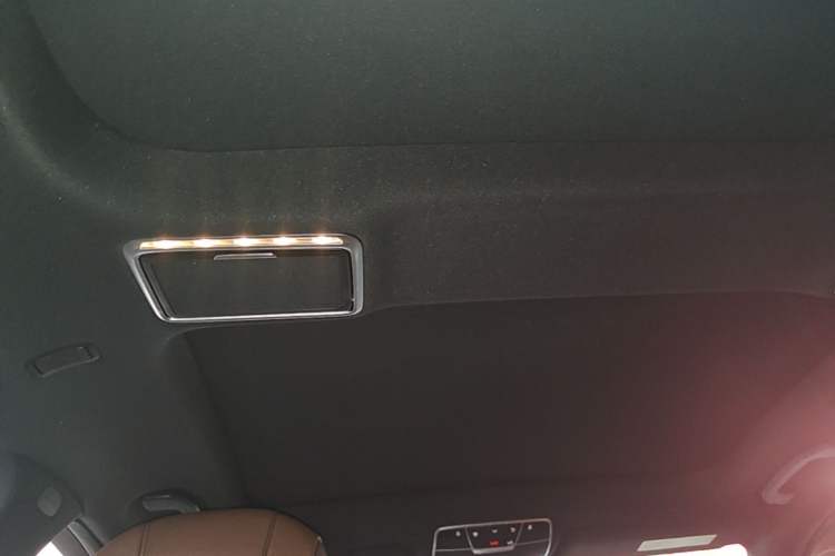 Used Mercedes-Benz S-Class 2020 S 350 L Business Class Ultimate Edition Headliner