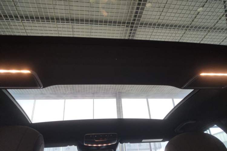 Used Mercedes-Benz S-Class 2020 S 350 L Business Class Ultimate Edition Headliner